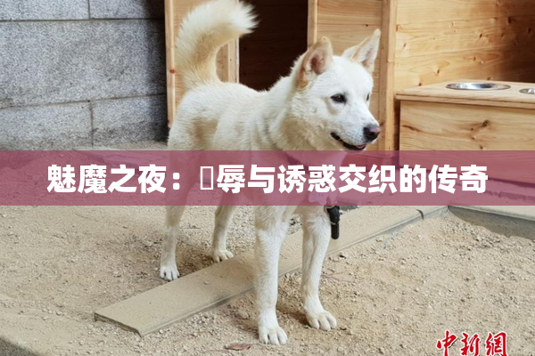 魅魔之夜：婬辱与诱惑交织的传奇