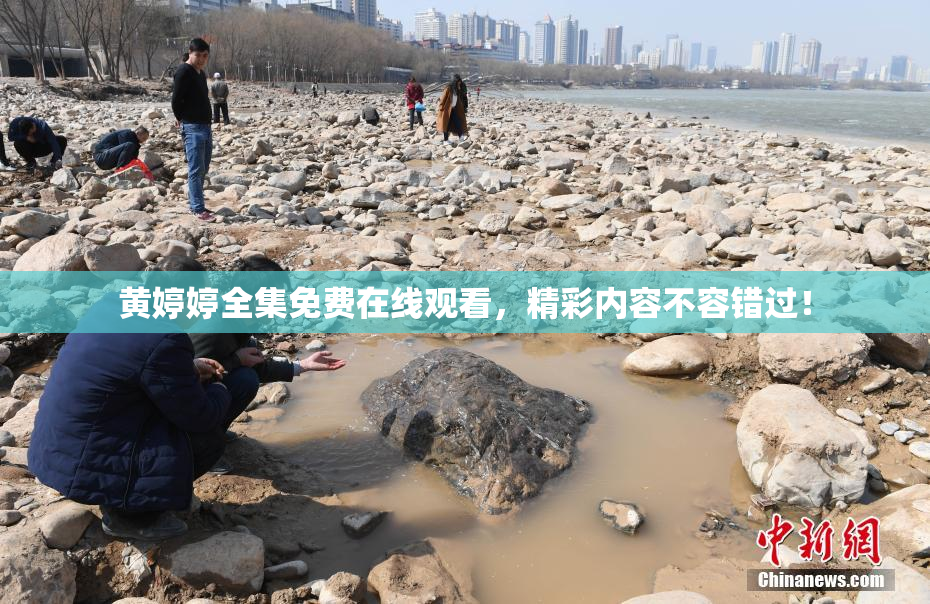 黄婷婷全集免费在线观看，精彩内容不容错过！