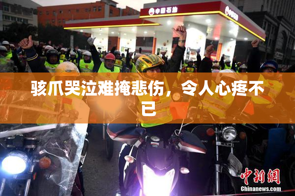 骇爪哭泣难掩悲伤，令人心疼不已