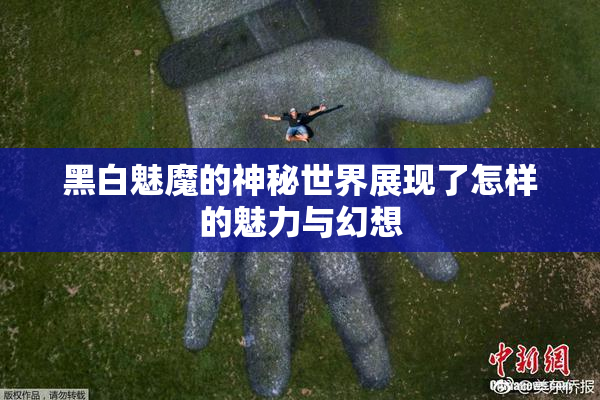 黑白魅魔的神秘世界展现了怎样的魅力与幻想
