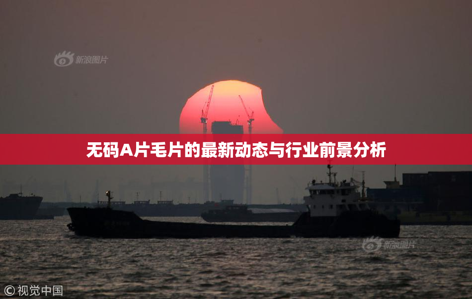 无码A片毛片的最新动态与行业前景分析