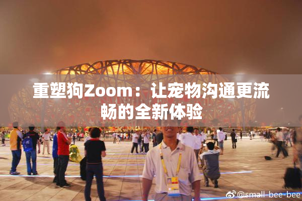 重塑狗Zoom：让宠物沟通更流畅的全新体验
