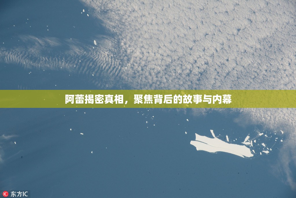 阿蕾揭密真相，聚焦背后的故事与内幕
