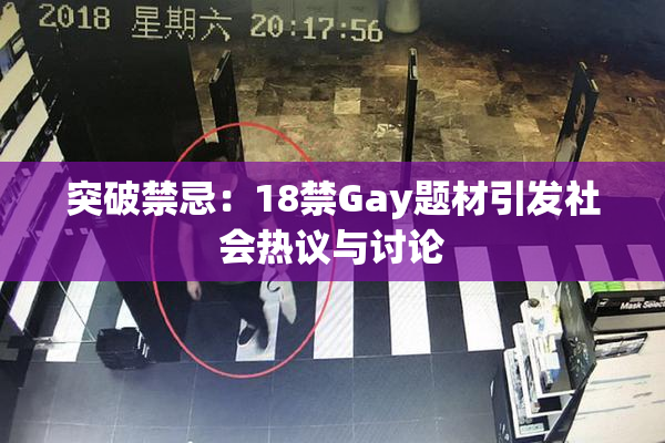 突破禁忌：18禁Gay题材引发社会热议与讨论