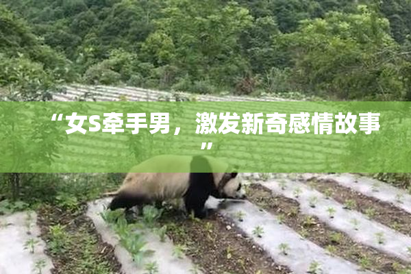 “女S牵手男，激发新奇感情故事”