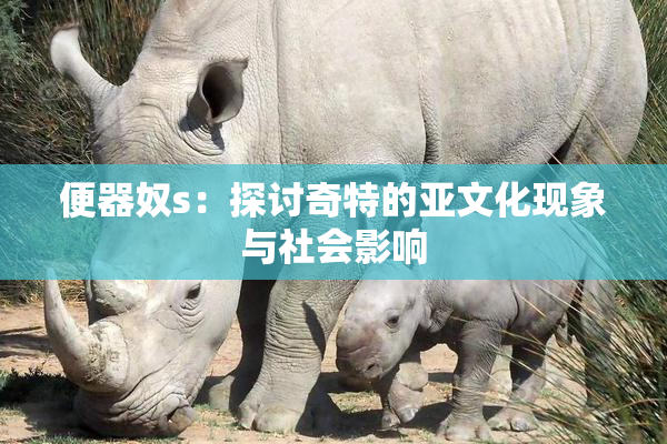 便器奴s：探讨奇特的亚文化现象与社会影响