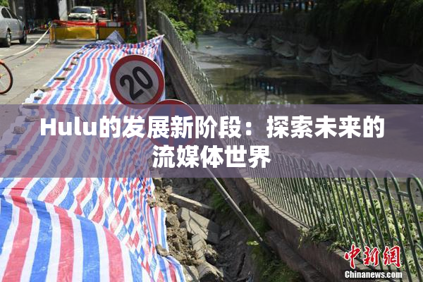 Hulu的发展新阶段：探索未来的流媒体世界