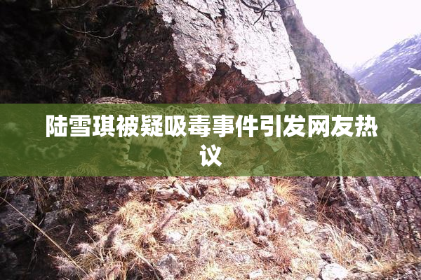 陆雪琪被疑吸毒事件引发网友热议