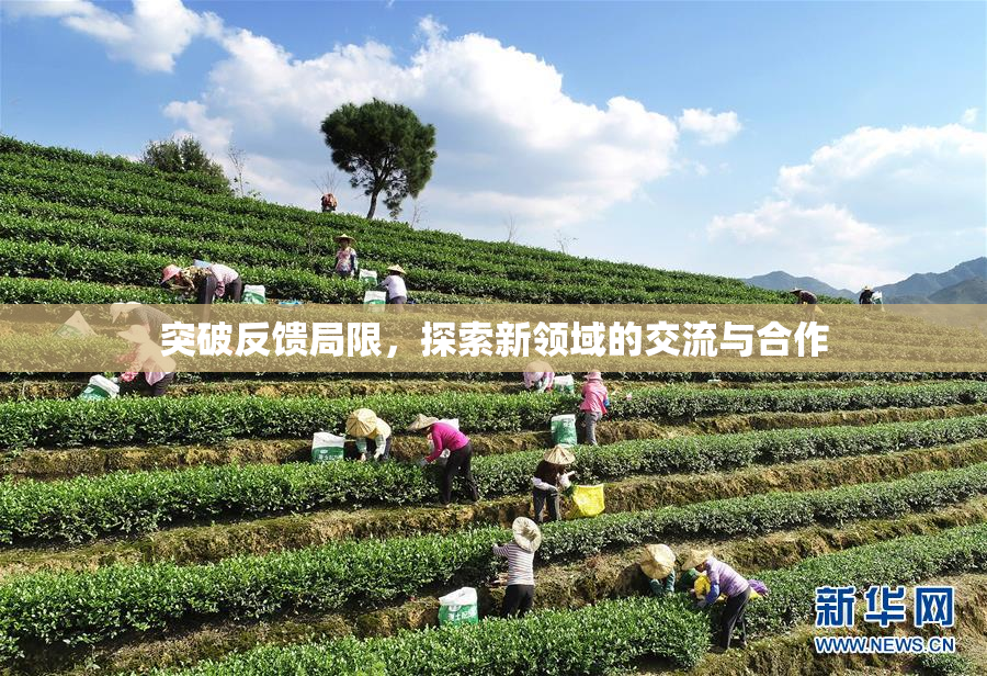 突破反馈局限，探索新领域的交流与合作