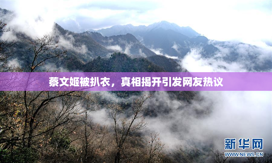 蔡文姬被扒衣，真相揭开引发网友热议