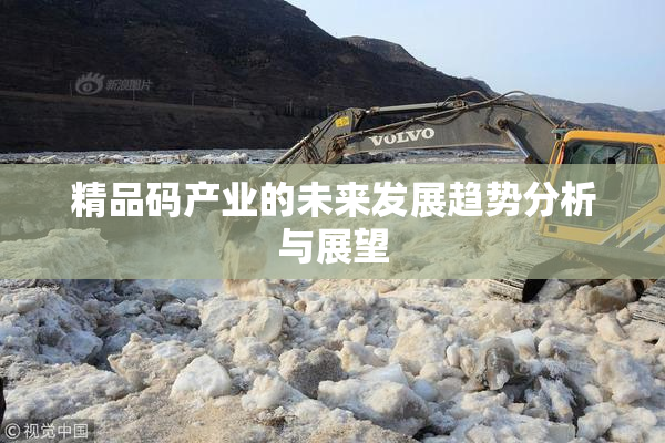精品码产业的未来发展趋势分析与展望