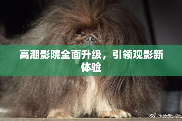 高潮影院全面升级，引领观影新体验