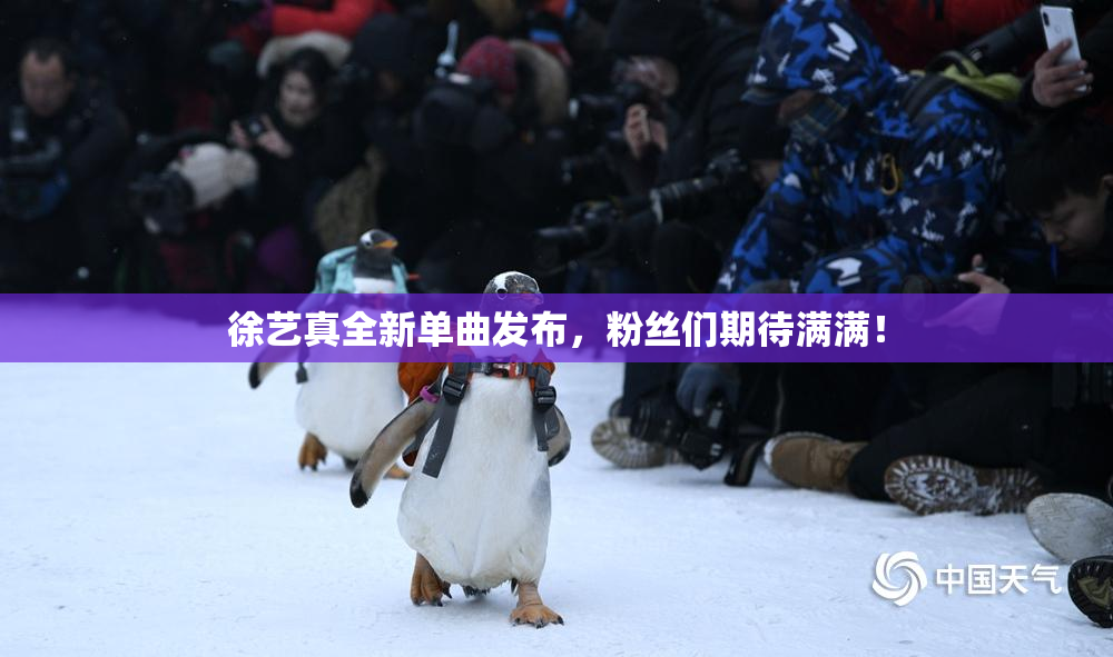 徐艺真全新单曲发布，粉丝们期待满满！