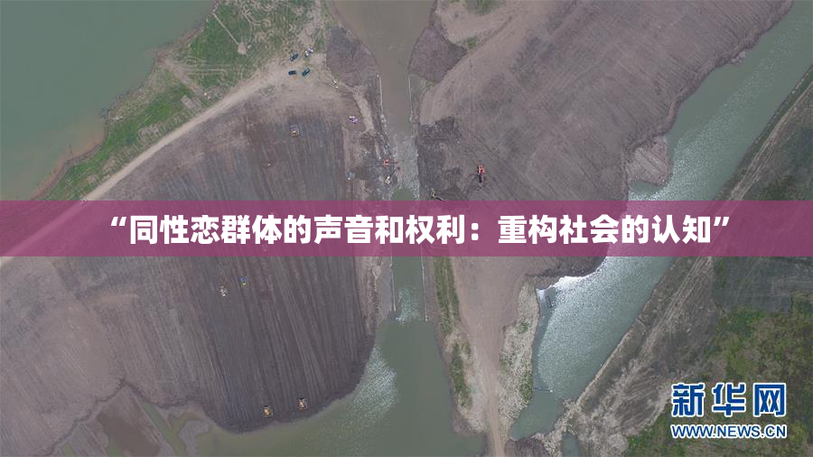 “同性恋群体的声音和权利：重构社会的认知”