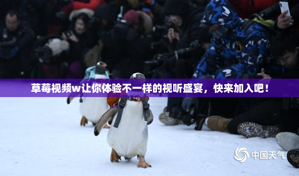 草莓视频w让你体验不一样的视听盛宴，快来加入吧！