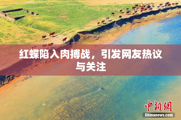 红蝶陷入肉搏战，引发网友热议与关注
