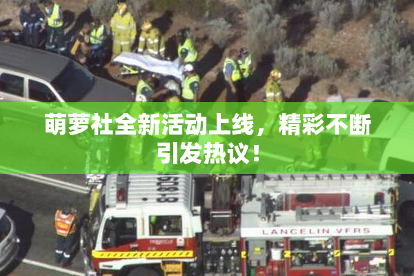 萌萝社全新活动上线，精彩不断引发热议！