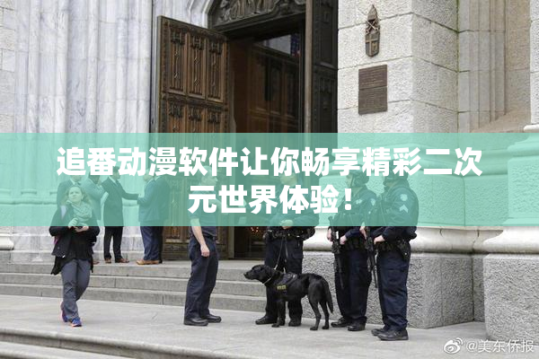 追番动漫软件让你畅享精彩二次元世界体验！