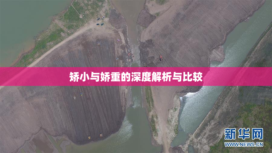 矫小与娇重的深度解析与比较