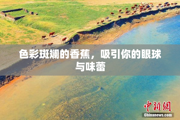 色彩斑斓的香蕉，吸引你的眼球与味蕾