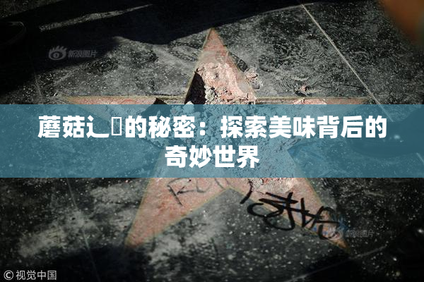 蘑菇辶喿的秘密：探索美味背后的奇妙世界