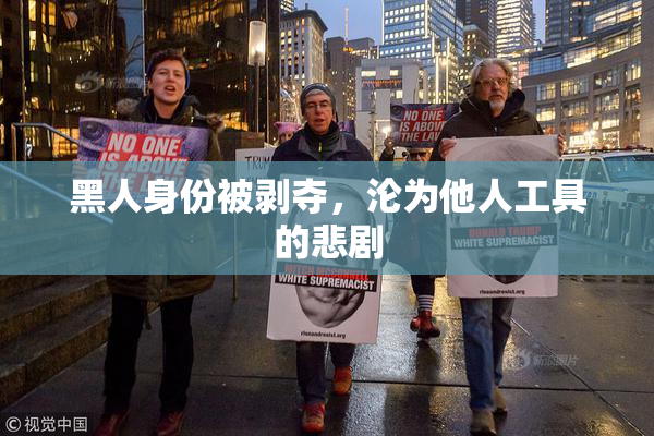 黑人身份被剥夺，沦为他人工具的悲剧