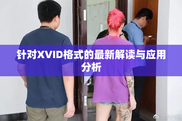针对XVID格式的最新解读与应用分析
