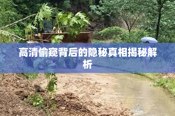 高清偷窥背后的隐秘真相揭秘解析