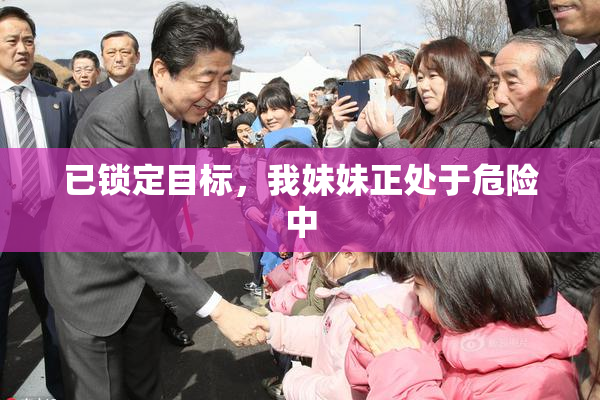 已锁定目标，我妹妹正处于危险中