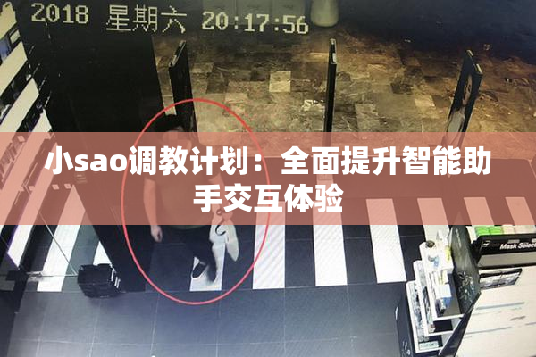 小sao调教计划：全面提升智能助手交互体验