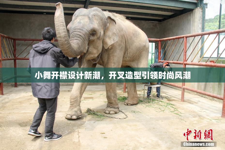 小舞开襟设计新潮，开叉造型引领时尚风潮