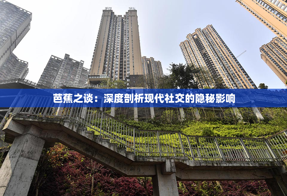 芭蕉之谈：深度剖析现代社交的隐秘影响