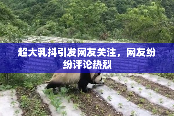 超大乳抖引发网友关注，网友纷纷评论热烈