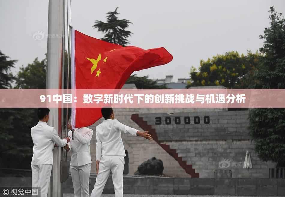 91中国：数字新时代下的创新挑战与机遇分析