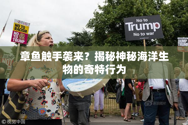 章鱼触手袭来？揭秘神秘海洋生物的奇特行为