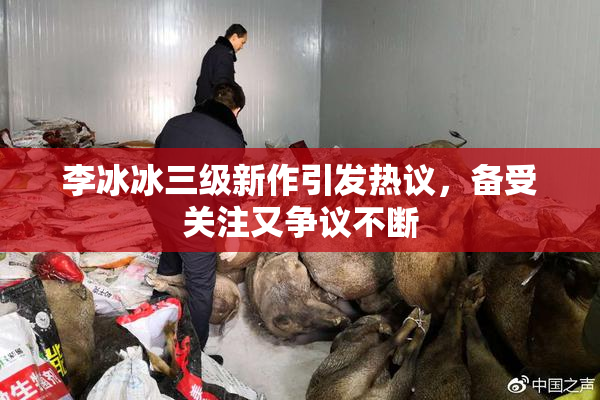 李冰冰三级新作引发热议，备受关注又争议不断