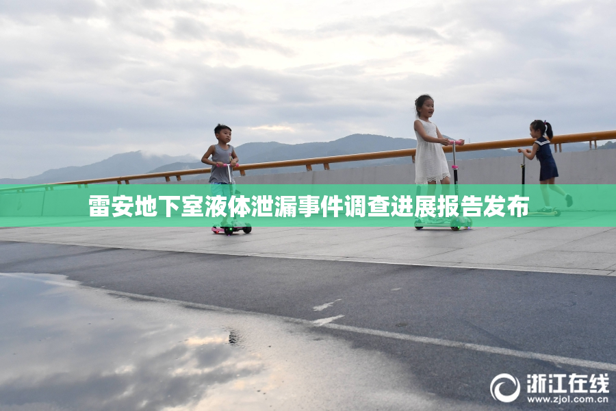雷安地下室液体泄漏事件调查进展报告发布