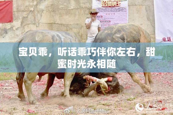 宝贝乖，听话乖巧伴你左右，甜蜜时光永相随