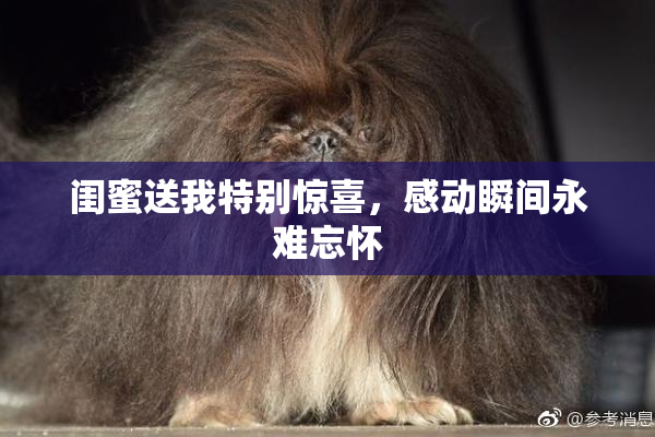 闺蜜送我特别惊喜，感动瞬间永难忘怀