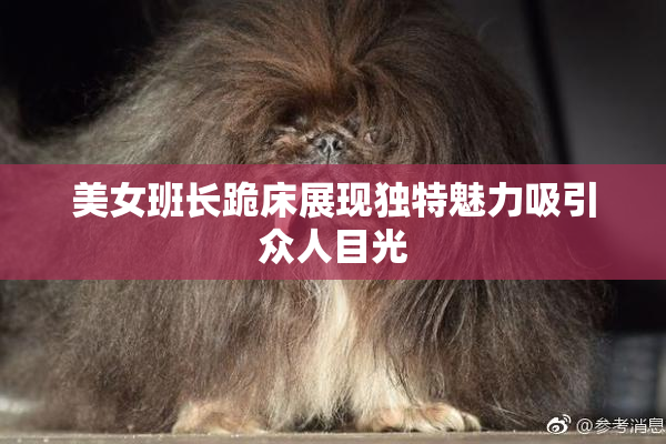 美女班长跪床展现独特魅力吸引众人目光