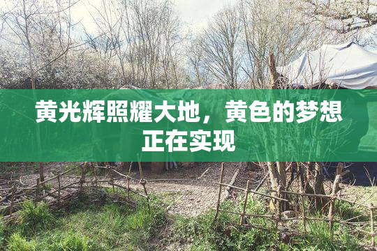 黄光辉照耀大地，黄色的梦想正在实现