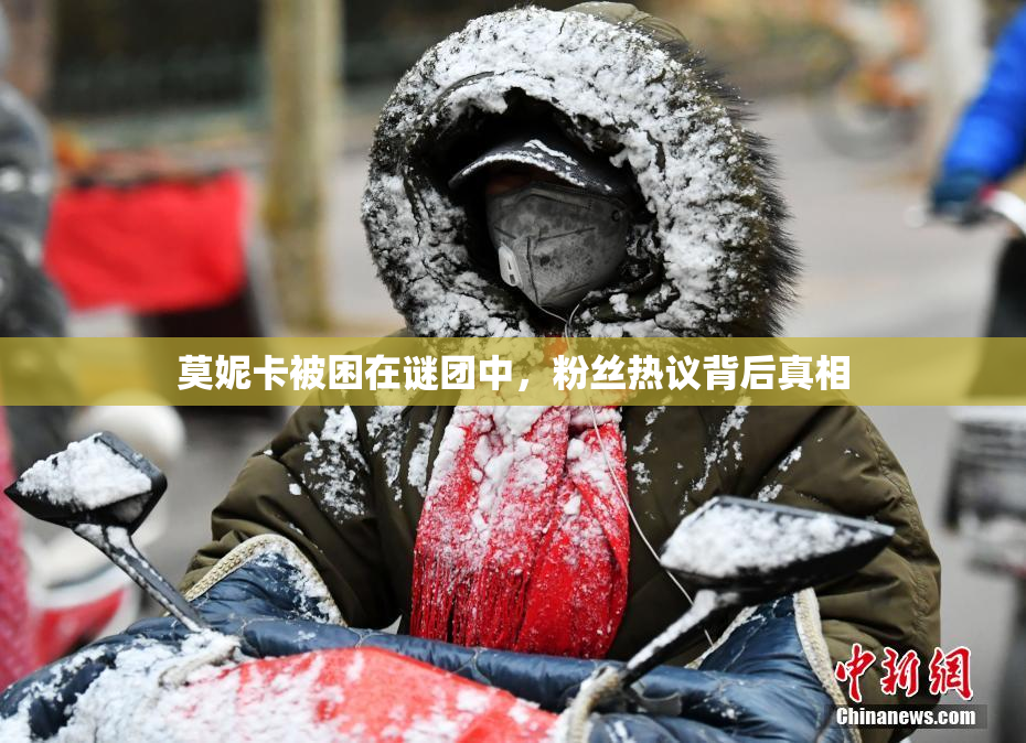 莫妮卡被困在谜团中，粉丝热议背后真相