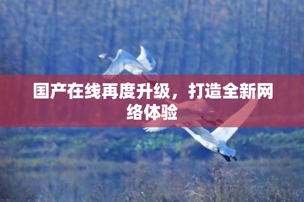 国产在线再度升级，打造全新网络体验