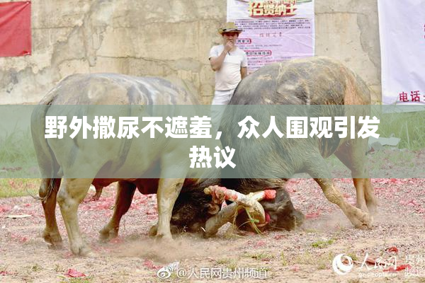 野外撒尿不遮羞，众人围观引发热议