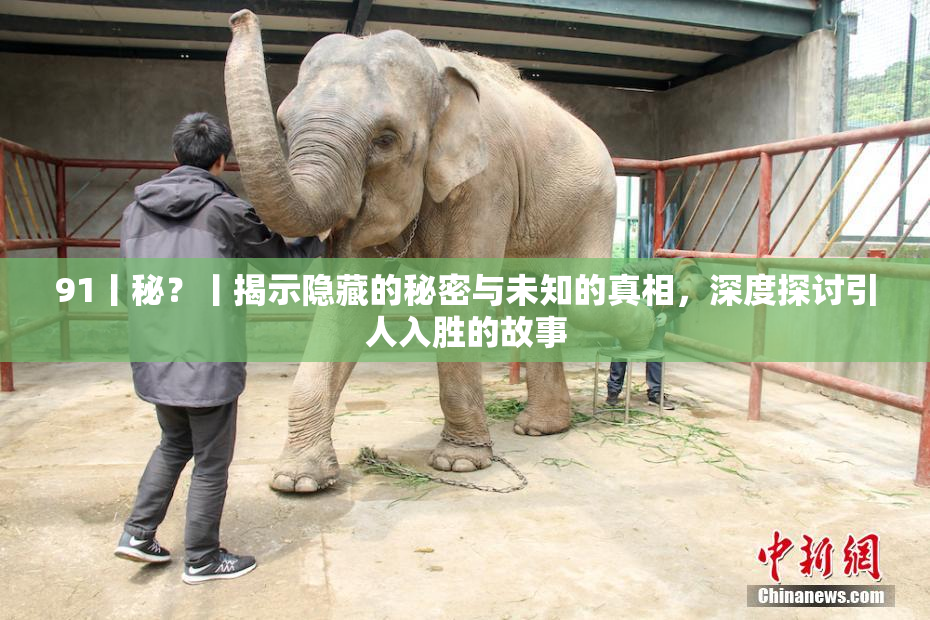 91丨秘？丨揭示隐藏的秘密与未知的真相，深度探讨引人入胜的故事