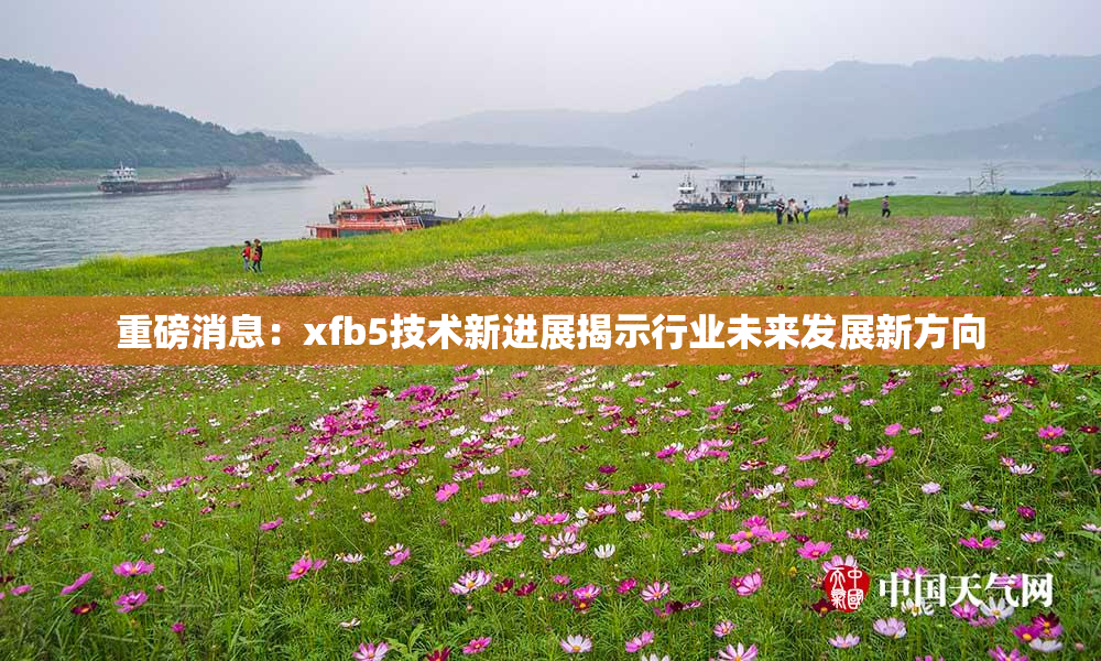 重磅消息：xfb5技术新进展揭示行业未来发展新方向