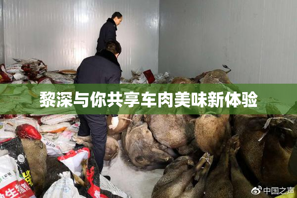 黎深与你共享车肉美味新体验