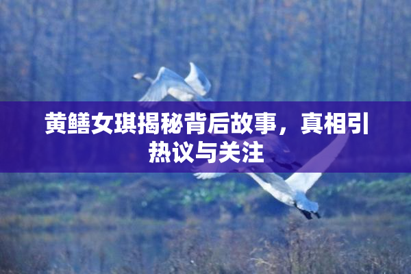 黄鳝女琪揭秘背后故事，真相引热议与关注