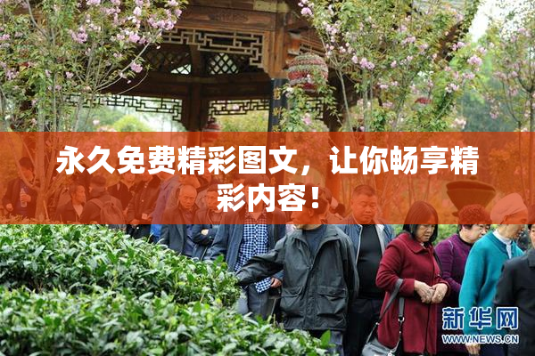 永久免费精彩图文，让你畅享精彩内容！