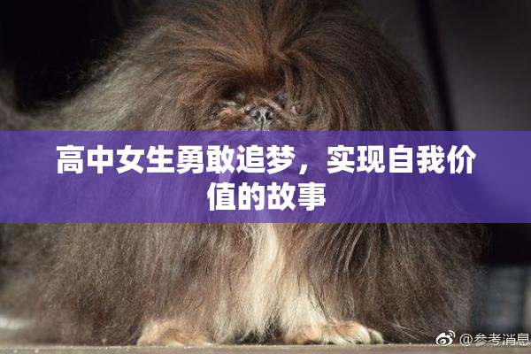 高中女生勇敢追梦，实现自我价值的故事